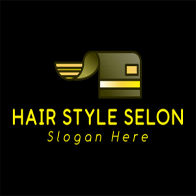 H & S logo.. This is the professional logo... created by Md Habi beauty graphic design logo