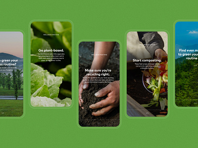 Social - Green Wellness Routine