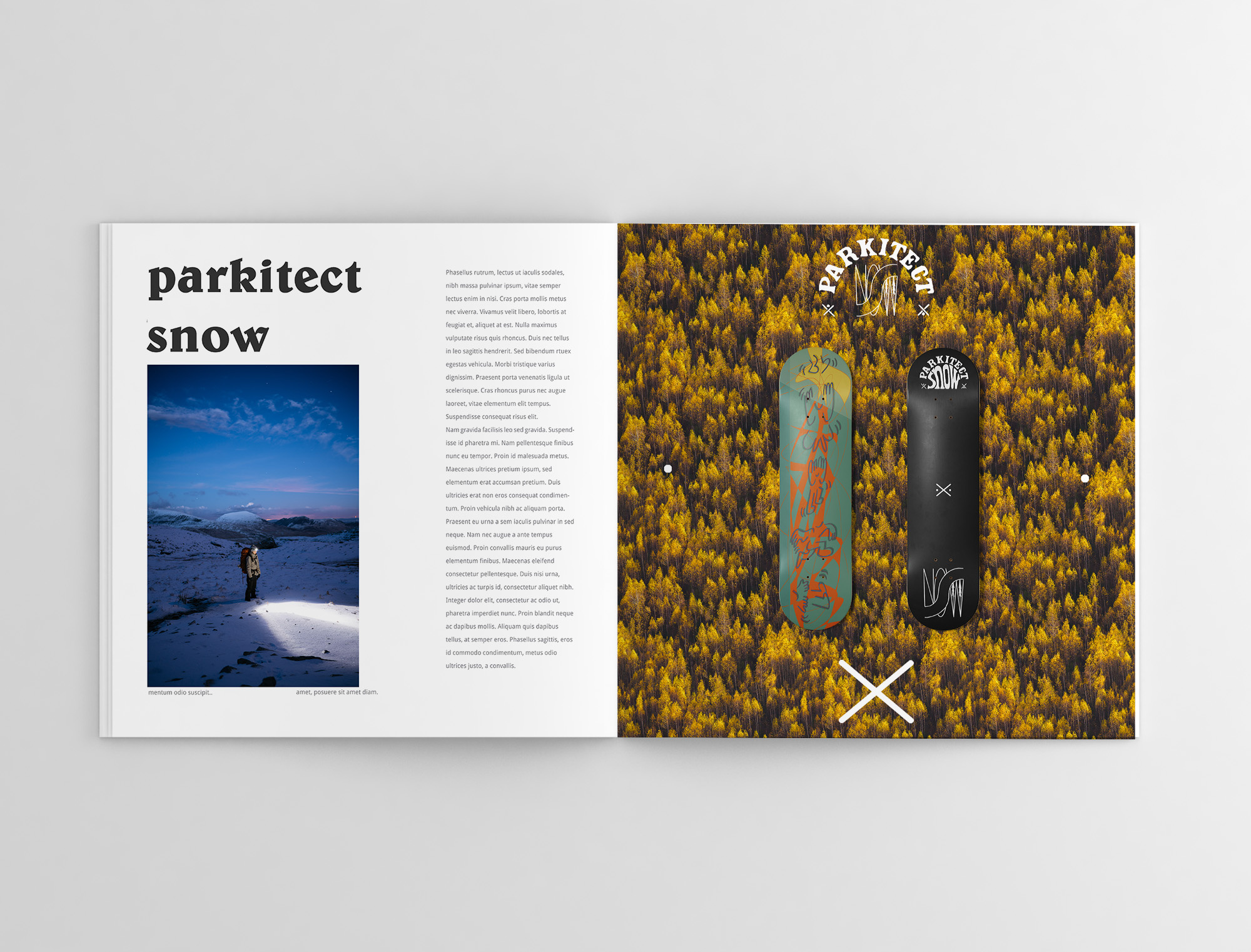 Magazine Layout branding design graphic design illustration layout logo typography vector