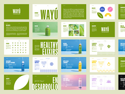 🎨 Wayú Brand guidelines brand branding guidelines logo