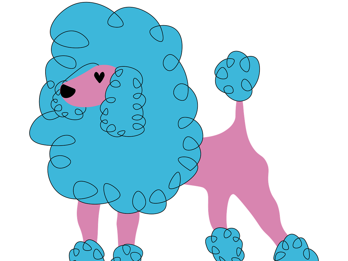 Browse thousands of Poodle images for design inspiration Dribbble