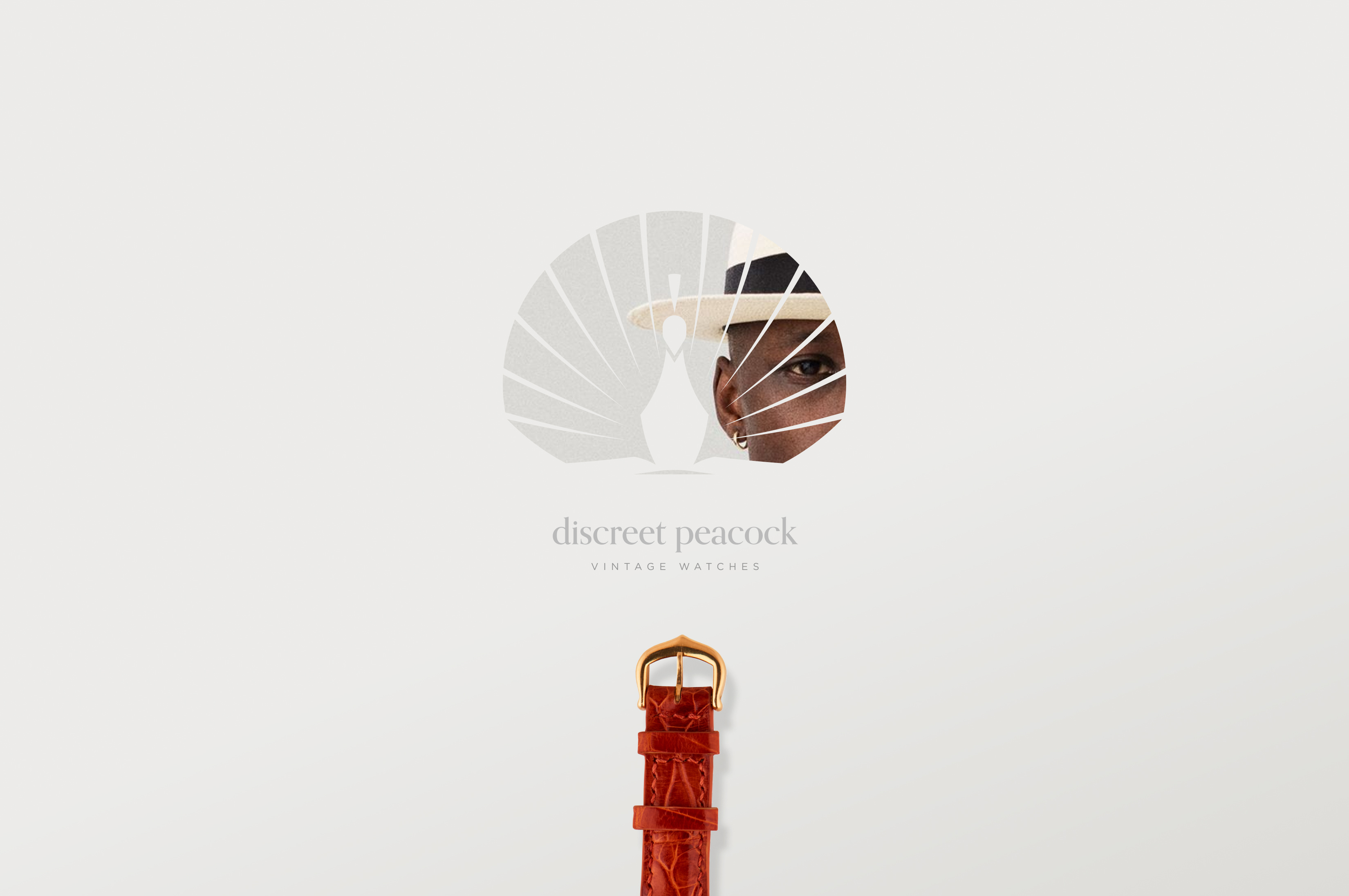 Discreet Peacock Branding branding logo website