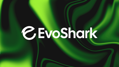 EvoShark - Branding Assets branding design graphic design icon logo minimal typography vector