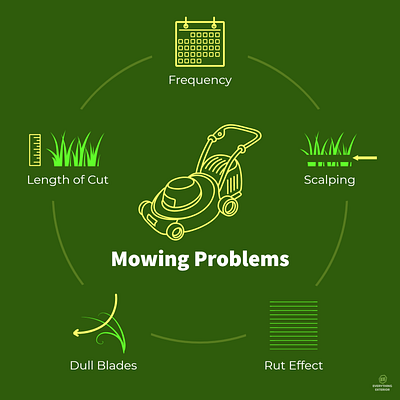 Lawn Mowing Problems - Infographic design illustration infographic