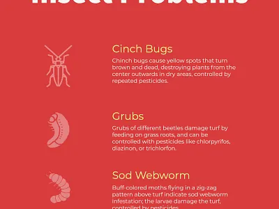 Insect Problems - Infographic design infographic