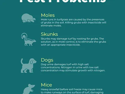 Pest Problems - Infographic