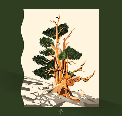 METHUSELAH ancient botanical cat digital art illustration methuselah oldtree pine plant thanh soledas tree white mountains