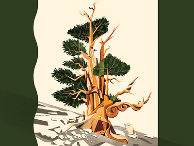 METHUSELAH ancient botanical cat digital art illustration methuselah oldtree pine plant thanh soledas tree white mountains
