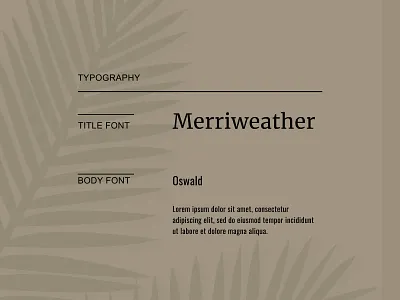 Fonts design fonts graphic design text typography