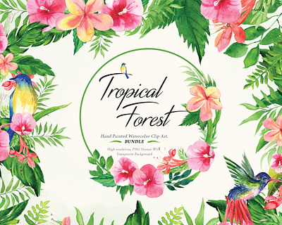 Tropical Watercolor Clipart Set blush watercolor floral png clipart greenery hibiscus illustration planner clipart png clipart rose clipart summer clipart tropical tropical clipart tropical flower png tropical leaves tropical watercolor watercolor frame