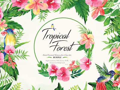 Tropical Watercolor Clipart Set blush watercolor floral png clipart greenery hibiscus illustration planner clipart png clipart rose clipart summer clipart tropical tropical clipart tropical flower png tropical leaves tropical watercolor watercolor frame