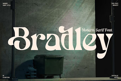 Bradley Modern Serif Font calligraphy display display font font font family fonts hand lettering handlettering lettering logo sans serif sans serif font sans serif typeface script serif serif font type typedesign typeface typography