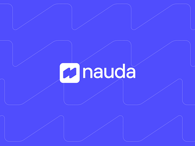 Nauda Branding branding finance fintech graphicdesign guidelines identity logo online banking pitch deck presentation social media webdesign website