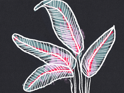 Plants black color illustration procreate