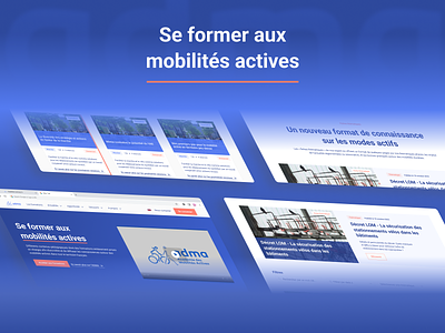Mobility programm financed by French government website redesign branding design government website graphic design illustration redesign ui ux webdesign website website redesign