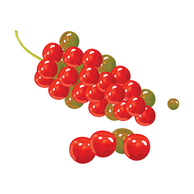 fruit design illustration logo typography vector