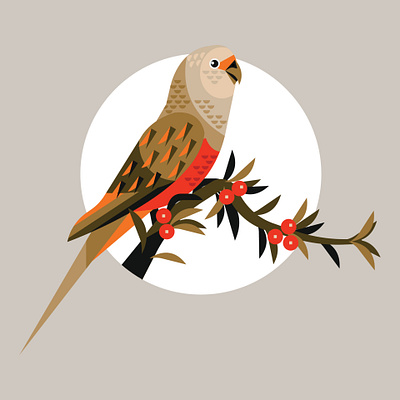 bird animation graphic design logo motion graphics