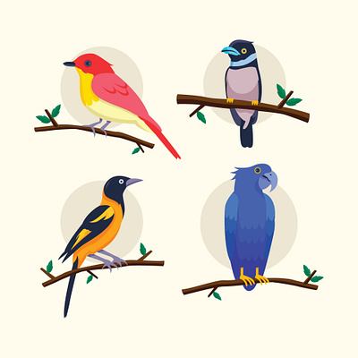 bird design branding design graphic design illustration logo typography vector