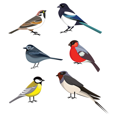 bird design branding design illustration logo typography vector