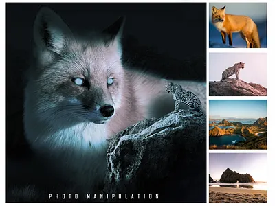 Photo Manipulation design graphic design illustration vector