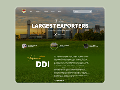 DDI User Interface Design (Premium Rice Brand) design landing page design ui ui design uidesign uiux web design website concept