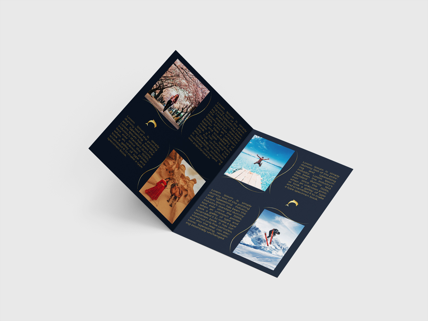 Creative print design bi fold brochure branding brochure brochuredesign design double sided card follow us card graphic design logo printdesign singel fold brochure typography vector