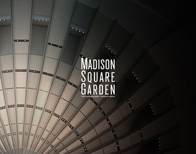 Madison Square Garden Interactive Touchwall App Design UX/UI app store branding mobile ui ux