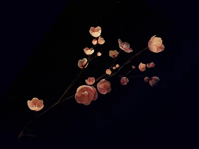 Blossom in the dark 3d abstract alise art blender blossom cgi cycles dark design digital art flowers graphic design illustration render
