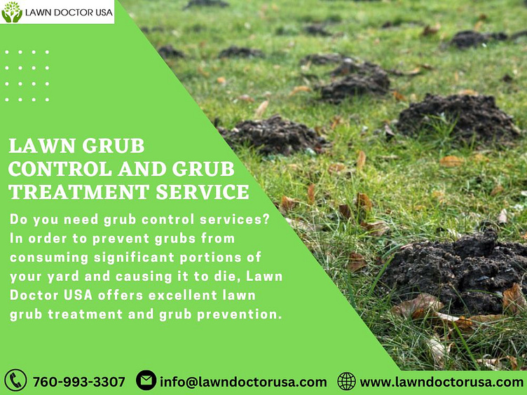 Lawn Grub Control And Grub Treatment Service Lawn Doctor USA by Lawn