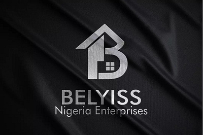 Brand Identity for Belyiss Enterprises app branding design graphic design illustration logo typography ui ux vector