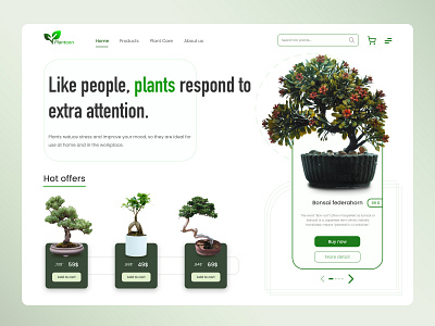 Plantoon - Plants for your home design figma interface plants shop shopping ui uidesign uiux ux visualdesign website