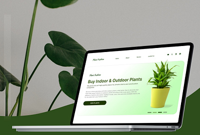 Plant website landing page branding graphic design ui