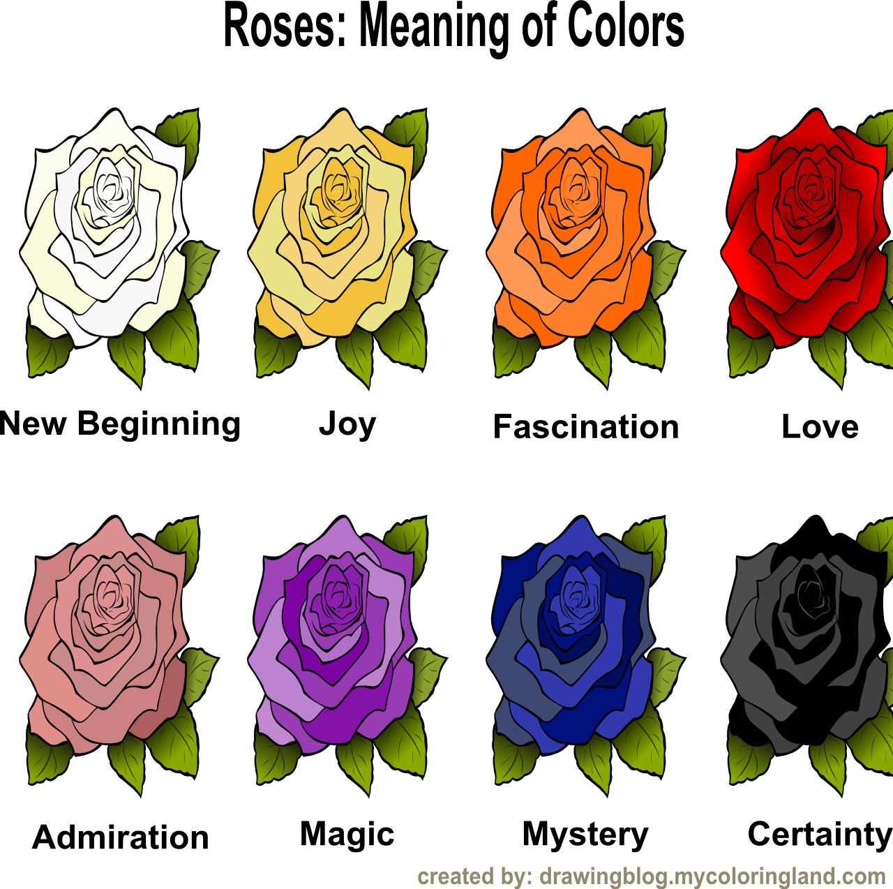 the-meaning-of-specific-colors-of-roses-by-miha-on-dribbble