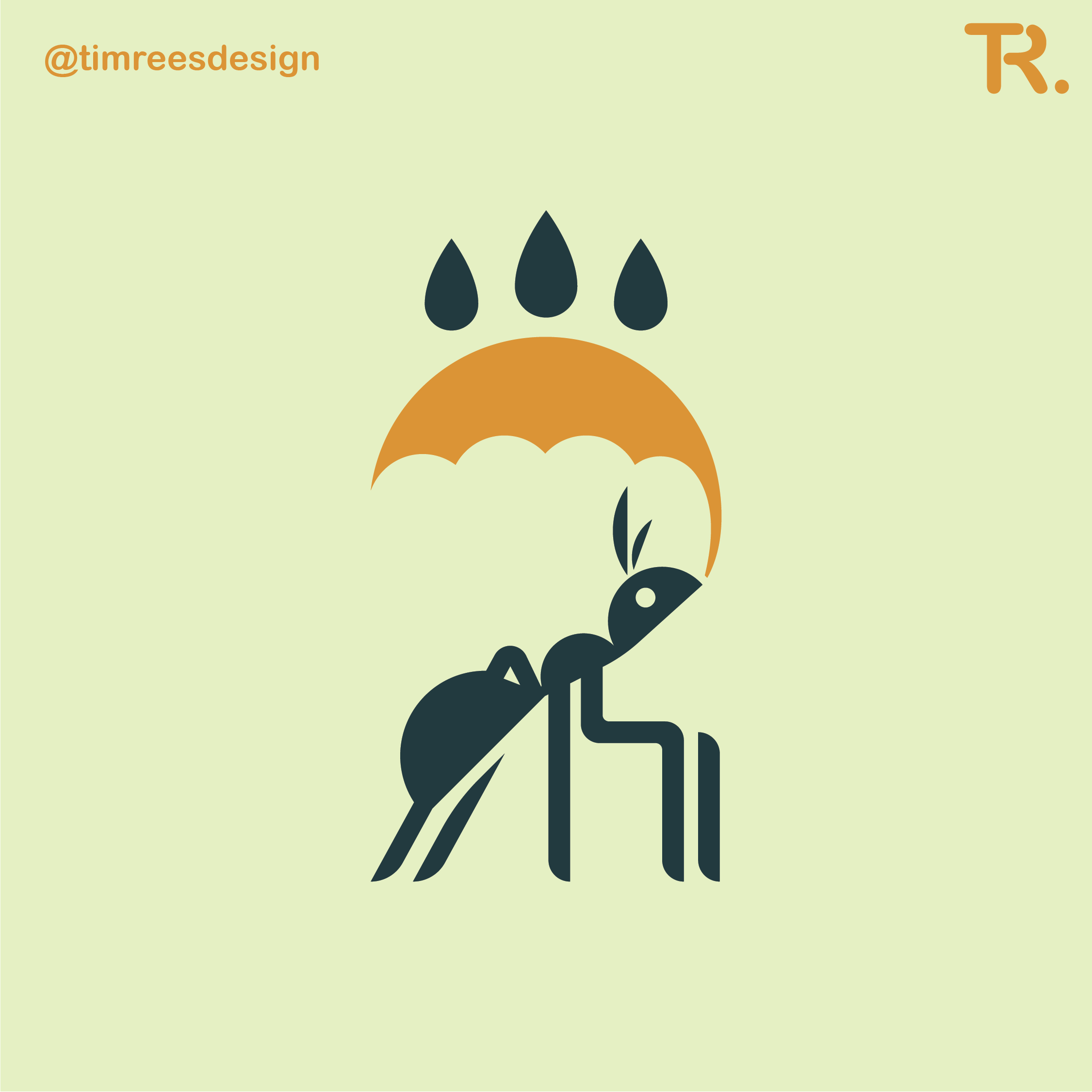 ANT LOGO branding design graphic design graphicdesign graphicdesigner illustration logo vector