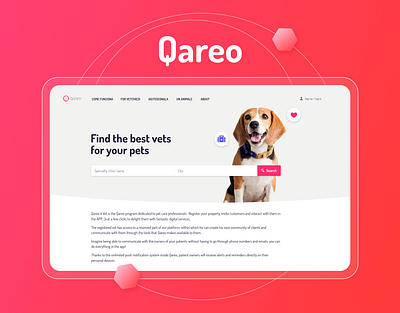 An italian digital pet assistant animation branding design figma graphic design illustration interface minimal ui ui design ui ux uiux ux ux design uxui vector vet web web site website