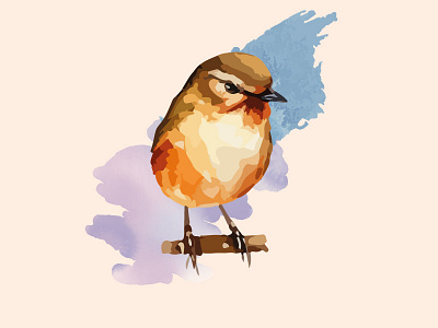 Watercolor bird sparrow