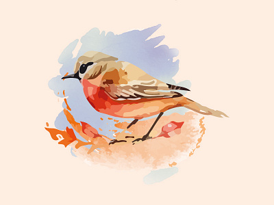 Watercolor bird sparrow