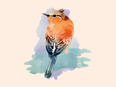 Watercolor bird sparrow