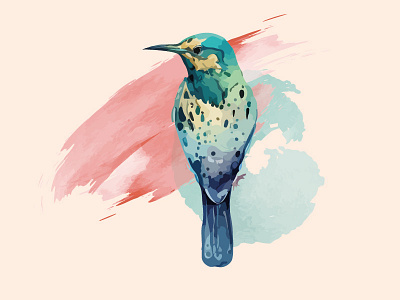 Watercolor bird sparrow