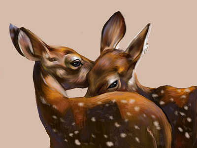 Love Connects 2d animals book illustration couple deers design drawing flat graphic illustration love nature oilpainting