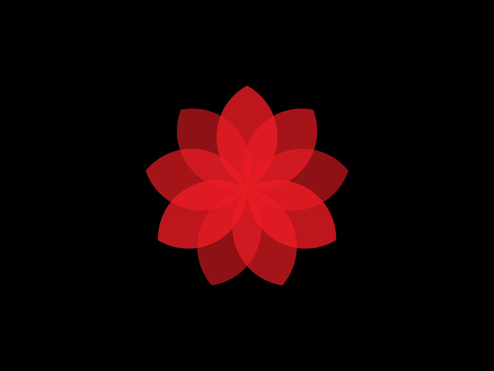 Red Flower Logo Mark Design By Alamgir H Logo Designer On Dribbble red-flower-logo-mark-design-by-alamgir-h-logo-designer-on-dribbble