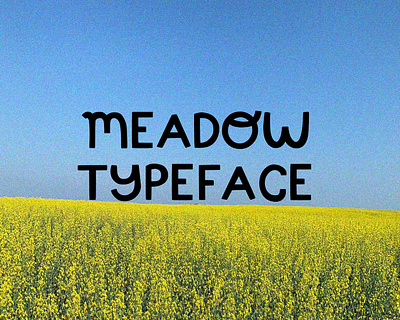 Meadow Typeface