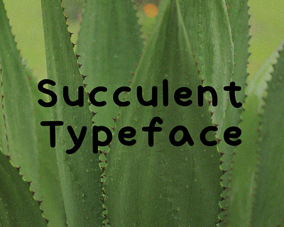 Succulent Typeface