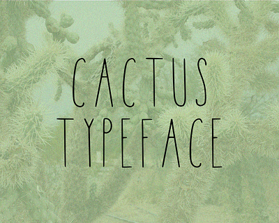 Cactus Typeface