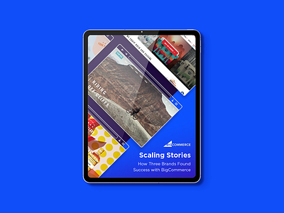 Scaling Stories annual report brand case study copy design editorial editorial design graphic design grid indesign marketing web