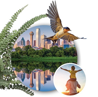 Collage for Dallas Public Park Campaign campaign collage graphic design illustration presentations storytelling
