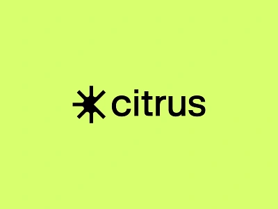 Citrus Brand Identity Design brand art direction brand expression brand identity branding identity design logo logo design logo identity logo meaning startup logo