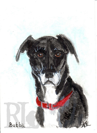 Dog Portraits gouache pet portraits watercolor