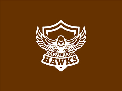 Rawalakot Hawks | Branding / Marketing / Content Production app branding design graphic design illustration logo typography ui vector