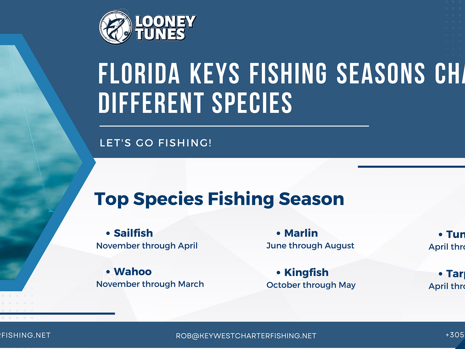 Florida Keys Fishing Seasons Chart for Different Species by Looney